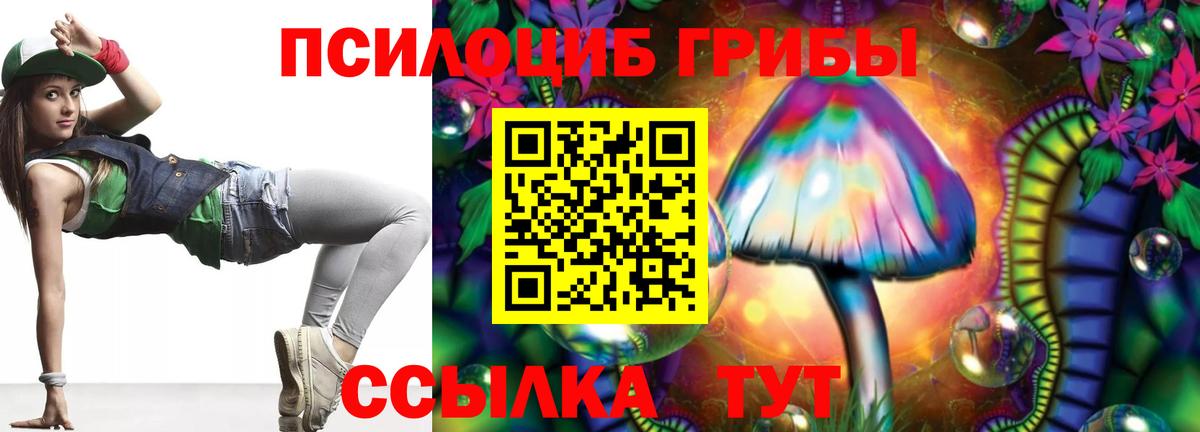 Псилоцибиновые грибы Psilocybine cubensis Мелеуз